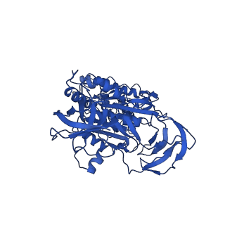 4640_6qum_C_v1-2
Thermus thermophilus V/A-type ATPase/synthase, rotational state 1