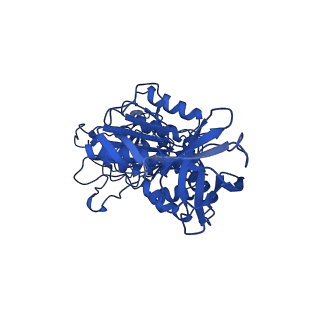 4640_6qum_D_v1-2
Thermus thermophilus V/A-type ATPase/synthase, rotational state 1