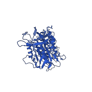 4640_6qum_E_v1-2
Thermus thermophilus V/A-type ATPase/synthase, rotational state 1
