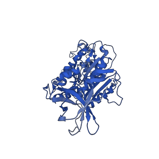 4640_6qum_F_v1-2
Thermus thermophilus V/A-type ATPase/synthase, rotational state 1