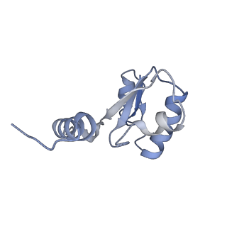 4640_6qum_H_v1-2
Thermus thermophilus V/A-type ATPase/synthase, rotational state 1