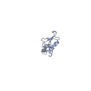 4640_6qum_J_v1-2
Thermus thermophilus V/A-type ATPase/synthase, rotational state 1