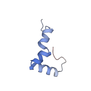 14157_7qv1_2_v1-2
Bacillus subtilis collided disome (Leading 70S)