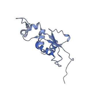 14157_7qv1_J_v1-2
Bacillus subtilis collided disome (Leading 70S)