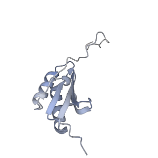 14157_7qv1_k_v1-2
Bacillus subtilis collided disome (Leading 70S)
