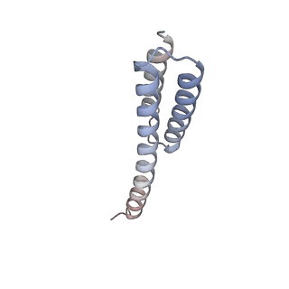 14158_7qv2_t_v1-1
Bacillus subtilis collided disome (Collided 70S)