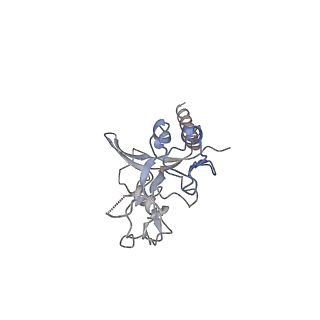 14169_7qv7_C_v1-2
Cryo-EM structure of Hydrogen-dependent CO2 reductase.