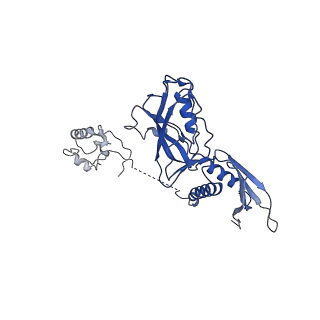 14171_7qv9_A_v1-1
CryoEM structure of bacterial transcription intermediate complex mediated by activator PspF