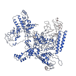 14171_7qv9_D_v1-1
CryoEM structure of bacterial transcription intermediate complex mediated by activator PspF
