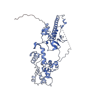 14171_7qv9_M_v1-1
CryoEM structure of bacterial transcription intermediate complex mediated by activator PspF