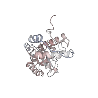 14171_7qv9_d_v1-1
CryoEM structure of bacterial transcription intermediate complex mediated by activator PspF
