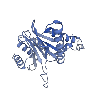 14175_7qve_B_v1-1
Spinach 20S proteasome