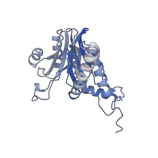 14175_7qve_C_v1-1
Spinach 20S proteasome