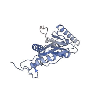 14175_7qve_E_v1-1
Spinach 20S proteasome