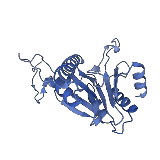 14175_7qve_F_v1-1
Spinach 20S proteasome