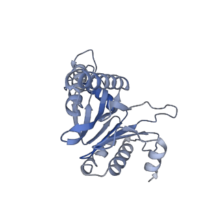 14175_7qve_G_v1-1
Spinach 20S proteasome