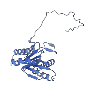 14175_7qve_b_v1-1
Spinach 20S proteasome