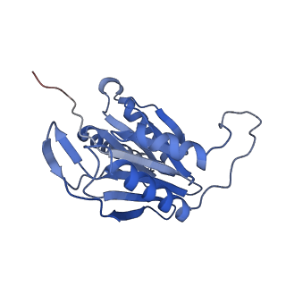 14175_7qve_f_v1-1
Spinach 20S proteasome