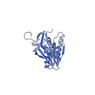 14175_7qve_g_v1-1
Spinach 20S proteasome