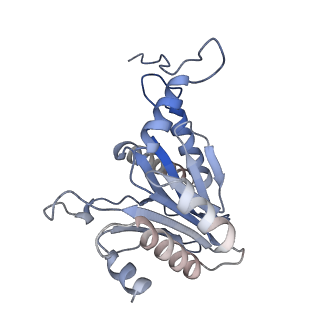 14175_7qve_i_v1-1
Spinach 20S proteasome