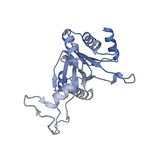 14175_7qve_l_v1-1
Spinach 20S proteasome