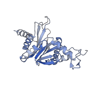 14175_7qve_n_v1-1
Spinach 20S proteasome
