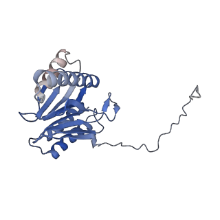 14175_7qve_p_v1-1
Spinach 20S proteasome