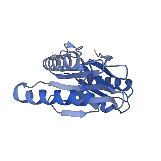 14175_7qve_r_v1-1
Spinach 20S proteasome