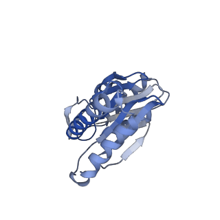 14175_7qve_s_v1-1
Spinach 20S proteasome