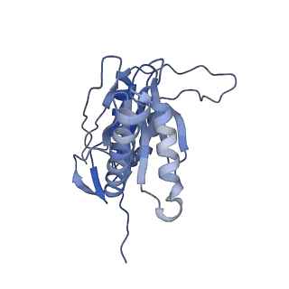 14175_7qve_t_v1-1
Spinach 20S proteasome