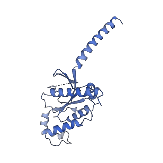 14180_7qvm_A_v1-0
Human Oxytocin receptor (OTR) oxytocin Gq chimera (mGoqi) complex