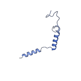 14180_7qvm_G_v1-0
Human Oxytocin receptor (OTR) oxytocin Gq chimera (mGoqi) complex