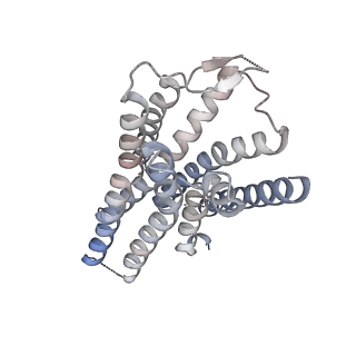 14180_7qvm_R_v1-0
Human Oxytocin receptor (OTR) oxytocin Gq chimera (mGoqi) complex