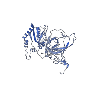 14181_7qvp_LB_v1-1
Human collided disome (di-ribosome) stalled on XBP1 mRNA