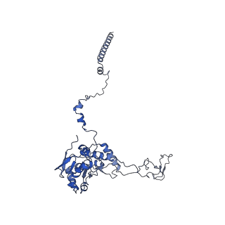 14181_7qvp_LC_v1-1
Human collided disome (di-ribosome) stalled on XBP1 mRNA