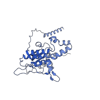 14181_7qvp_LD_v1-1
Human collided disome (di-ribosome) stalled on XBP1 mRNA