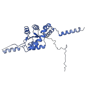 14181_7qvp_LG_v1-1
Human collided disome (di-ribosome) stalled on XBP1 mRNA