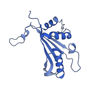 14181_7qvp_LJ_v1-1
Human collided disome (di-ribosome) stalled on XBP1 mRNA