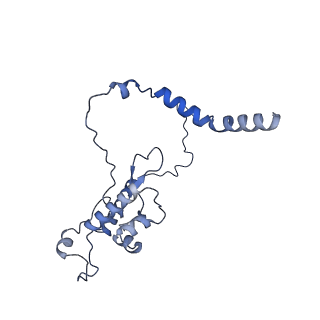 14181_7qvp_LL_v1-1
Human collided disome (di-ribosome) stalled on XBP1 mRNA