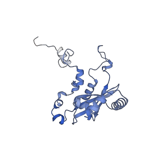14181_7qvp_LN_v1-1
Human collided disome (di-ribosome) stalled on XBP1 mRNA
