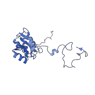 14181_7qvp_LQ_v1-1
Human collided disome (di-ribosome) stalled on XBP1 mRNA