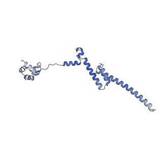 14181_7qvp_LR_v1-1
Human collided disome (di-ribosome) stalled on XBP1 mRNA