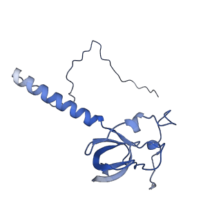 14181_7qvp_LT_v1-1
Human collided disome (di-ribosome) stalled on XBP1 mRNA
