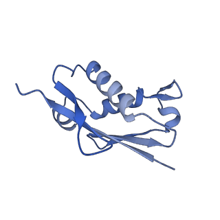 14181_7qvp_LU_v1-1
Human collided disome (di-ribosome) stalled on XBP1 mRNA