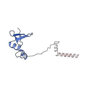 14181_7qvp_LW_v1-1
Human collided disome (di-ribosome) stalled on XBP1 mRNA