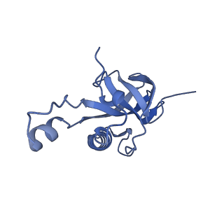 14181_7qvp_LZ_v1-1
Human collided disome (di-ribosome) stalled on XBP1 mRNA