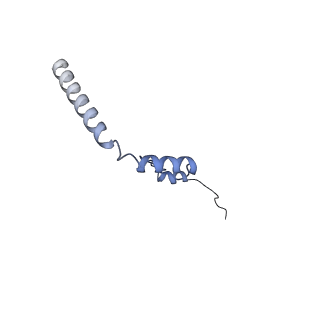 14181_7qvp_Lb_v1-1
Human collided disome (di-ribosome) stalled on XBP1 mRNA