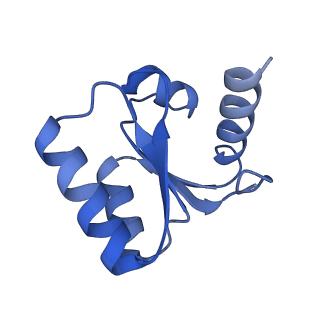 14181_7qvp_Lc_v1-1
Human collided disome (di-ribosome) stalled on XBP1 mRNA
