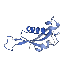 14181_7qvp_Ld_v1-1
Human collided disome (di-ribosome) stalled on XBP1 mRNA