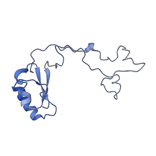 14181_7qvp_Le_v1-1
Human collided disome (di-ribosome) stalled on XBP1 mRNA